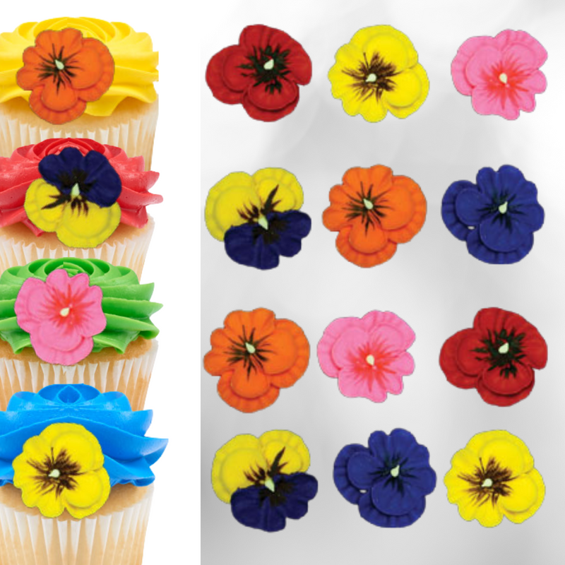 Pansies Hot Color Asst. Royal Icing Cake-Cupcake Decorations 12 Ct