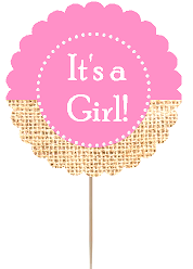12pack Its a Girl Baby Shower Cupcake Decoration Toppers - Picks - Pink and Burlap