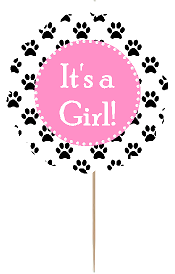 12pack Its a Girl Baby Shower Cupcake Decoration Toppers - Picks - Paw Print