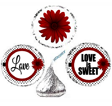 216ct Red Love Party Favor Hersheys Kisses Candy Decoration Stickers - Labels