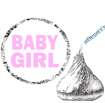 216 Baby Boy Baby Shower Party Favor Hershey's Kisses Stickers / Labels