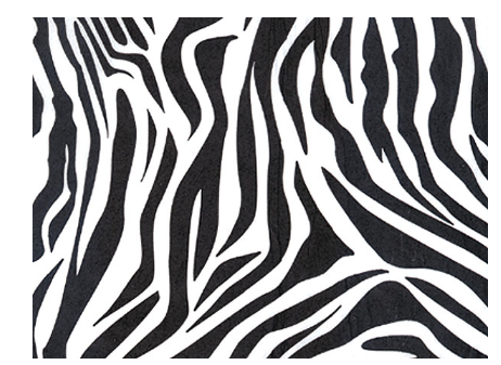 12pack Zebra 20 x 30 Decorative Gift Wrap Tissue Paper