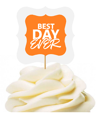 Orange 12pack Best Day Ever Cupcake Desert Appetizer Food Picks for Weddings, Birthdays, Baby Showers, Events & Parties