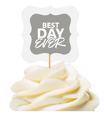 Grey 12pack Best Day Ever Cupcake Desert Appetizer Food Picks for Weddings, Birthdays, Baby Showers, Events & Parties