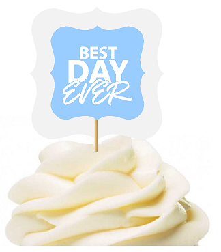 Light Blue 12pack Best Day Ever Cupcake Desert Appetizer Food Picks for Weddings, Birthdays, Baby Showers, Events & Parties