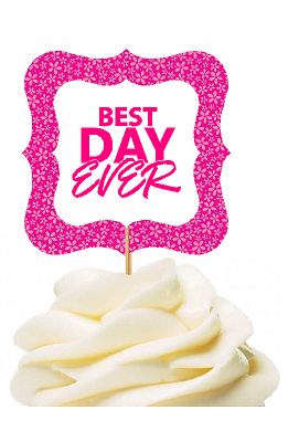 12pack Best Day Ever Hot Pink Flower Cupcake Desert Appetizer Food Picks for Weddings, Birthdays, Baby Showers, Events & Parties