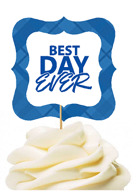 12pack Best Day Ever Blue Plaid Cupcake Desert Appetizer Food Picks for Weddings, Birthdays, Baby Showers, Events & Parties