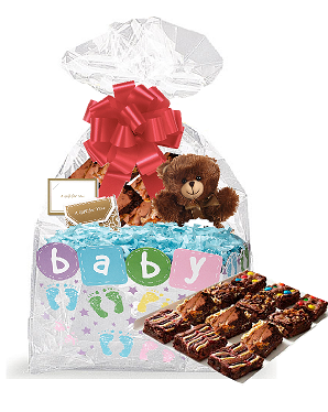 New Baby Gourmet Food Gift Basket Chocolate Brownie Variety Gift Pack Box (Individually Wrapped) 12pack