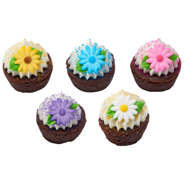 Medium Daisies Edible Dessert Toppers Cake Cupcake Sugar Icing Decorations -12ct