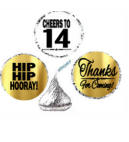 14th Birthday - Anniversary Cheers Hooray Thanks For Coming 324pk Stickers - Labels for Chocolate Drop Hersheys Kisses, Party Favors Decorations