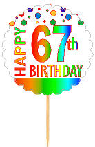 Happy 67th Birthday Rainbow Cupcake Decoration Topper Picks -12pk