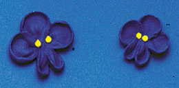 Small Violets Royal Icing Cake-Cupcake Decorations 12 Ct