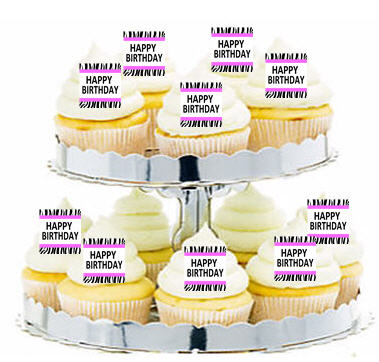 24ct Pink Zebra Happy Birthday Cupcake  Decoration Toppers - Picks