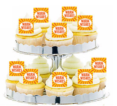 24ct Best Wishes Cupcake  Decoration Toppers - Picks