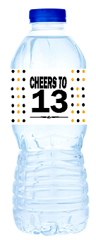 13th Birthday - Anniversary Party Decoration Water Bottle Labels