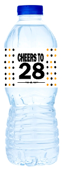 28th Birthday - Anniversary Party Decoration Water Bottle Labels