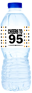 95th Birthday - Anniversary Party Decoration Water Bottle Labels