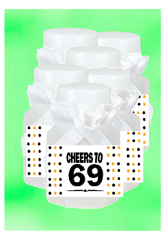 69th Birthday - Anniversary Party Favor Mini Bubbles with Wand -12pack