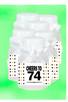 74th Birthday - Anniversary Party Favor Mini Bubbles with Wand -12pack