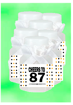 87th Birthday - Anniversary Party Favor Mini Bubbles with Wand -12pack