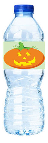 Pumpkin-Personalized Water Bottle Labels-12pack