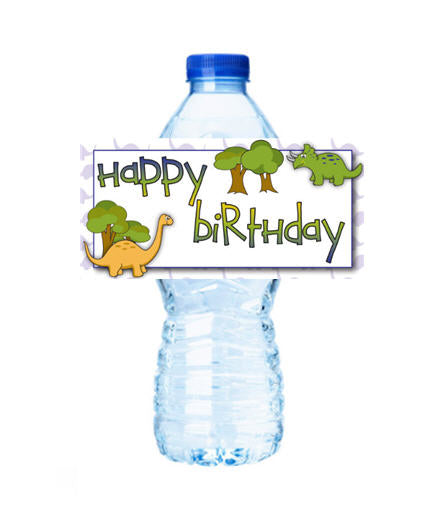 Happy Birthday Dinosaur Personalized Party Decoration Water Bottle Label Stickers