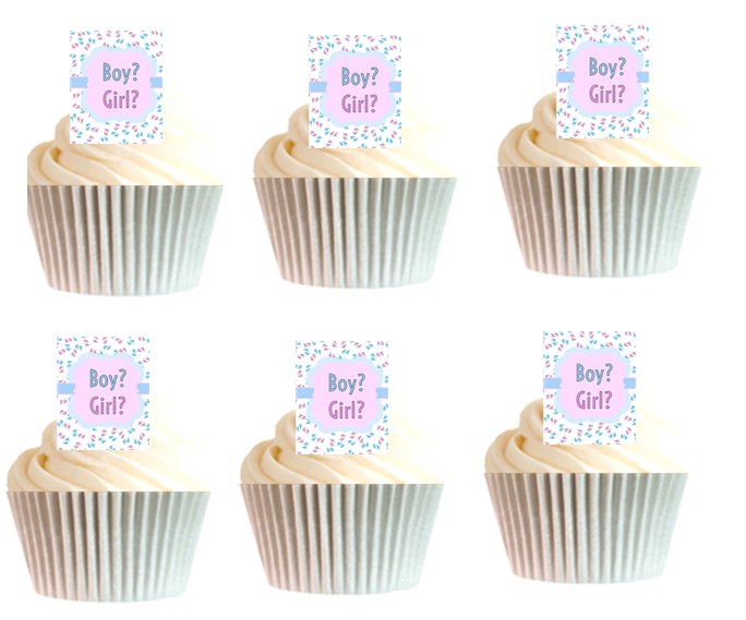 12pk Gender Reveal Boy or Girl Baby Shower Cupcake Decoration Picks