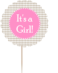 12pack Its a Girl Baby Shower Cupcake Decoration Toppers - Picks - Houndstooth