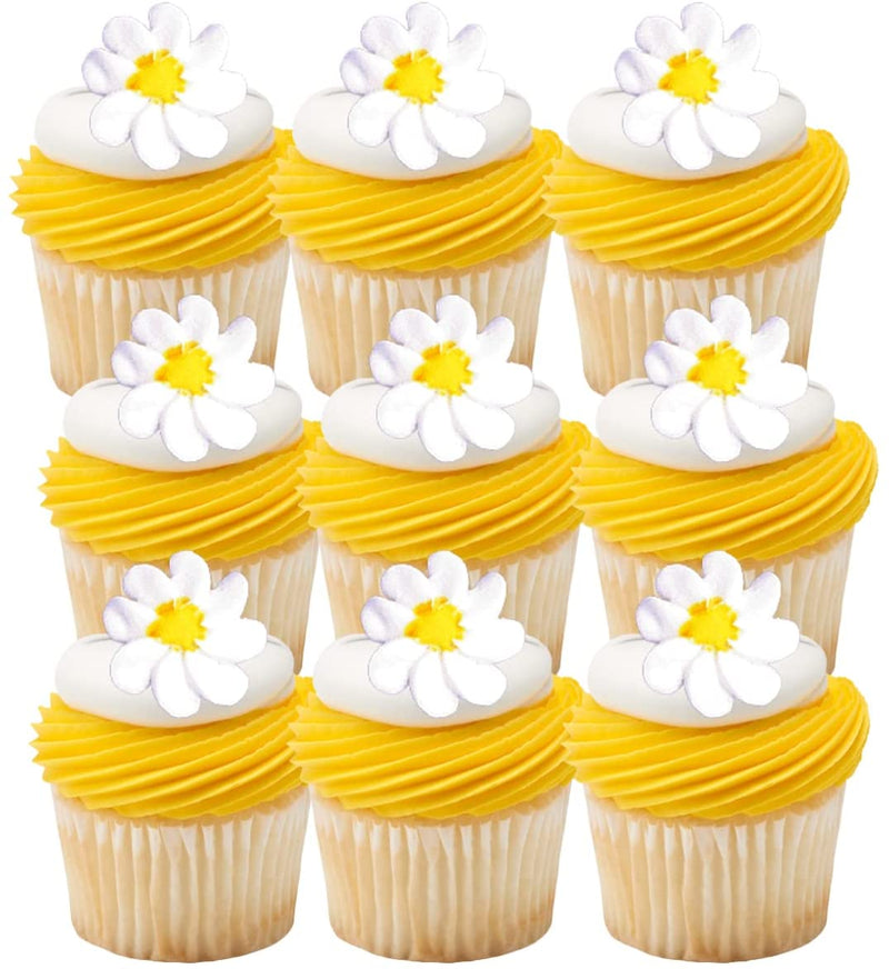 White Daisies Royal Icing Cake-Cupcake Decorations 12 Ct
