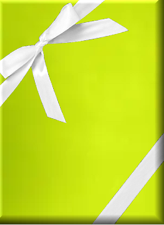 Lime Gift Wrap Wrapping Paper 24 x 15ft