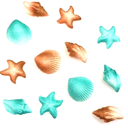12pk Sea Creatures Beach Sea Shell Star Cake Cupcake Sugar Decoration Toppers - Teal