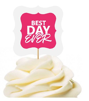 Pink 12pack Best Day Ever Cupcake Desert Appetizer Food Picks for Weddings, Birthdays, Baby Showers, Events & Parties