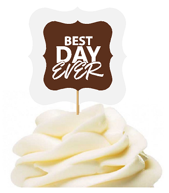 Brown 12pack Best Day Ever Cupcake Desert Appetizer Food Picks for Weddings, Birthdays, Baby Showers, Events & Parties