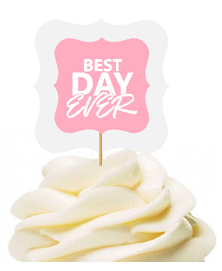 Light Pink 12pack Best Day Ever Flower Cupcake Desert Appetizer Food Picks for Weddings, Birthdays, Baby Showers, Events & Parties