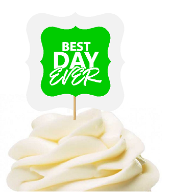 Greem 12pack Best Day Ever Cupcake Desert Appetizer Food Picks for Weddings, Birthdays, Baby Showers, Events & Parties