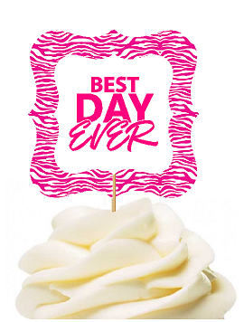 12pack Best Day Ever Pink Zebra  Cupcake Desert Appetizer Food Picks for Weddings, Birthdays, Baby Showers, Events & Parties