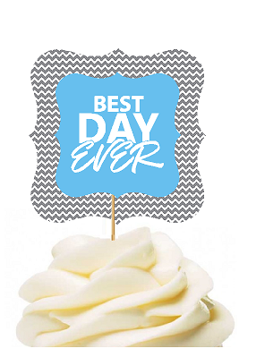 12pack Best Day Ever Blue Grey Chevron Cupcake Desert Appetizer Food Picks for Weddings, Birthdays, Baby Showers, Events & Parties