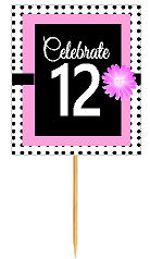 12th Happy Birthday Black Polka Dot Novelty Cupcake Decoration Topper Picks -12ct