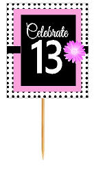 13th Happy Birthday Black Polka Dot Novelty Cupcake Decoration Topper Picks -12ct