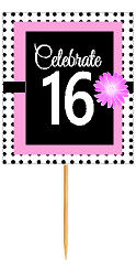 16th Happy Birthday Black Polka Dot Novelty Cupcake Decoration Topper Picks -12ct