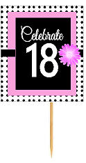 18th Happy Birthday Black Polka Dot Novelty Cupcake Decoration Topper Picks -12ct