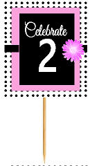 2nd Happy Birthday Black Polka Dot Novelty Cupcake Decoration Topper Picks -12ct