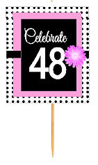 48th Happy Birthday Black Polka Dot Novelty Cupcake Decoration Topper Picks -12ct