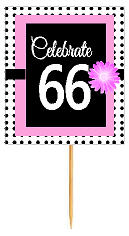 66th Happy Birthday Black Polka Dot Novelty Cupcake Decoration Topper Picks -12ct