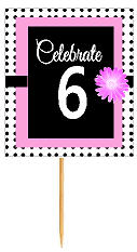 6th Happy Birthday Black Polka Dot Novelty Cupcake Decoration Topper Picks -12ct