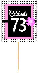 73rd Happy Birthday Black Polka Dot Novelty Cupcake Decoration Topper Picks -12ct