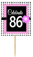 86th Happy Birthday Black Polka Dot Novelty Cupcake Decoration Topper Picks -12ct