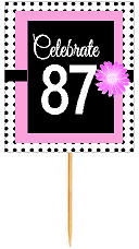 87th Happy Birthday Black Polka Dot Novelty Cupcake Decoration Topper Picks -12ct