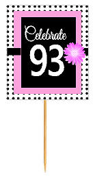 93rd Happy Birthday Black Polka Dot Novelty Cupcake Decoration Topper Picks -12ct