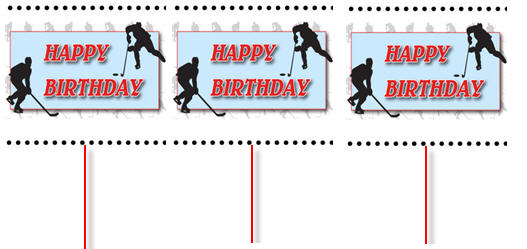 Ice Hockey Happy Birthday Party Cupcake Picks -12pack